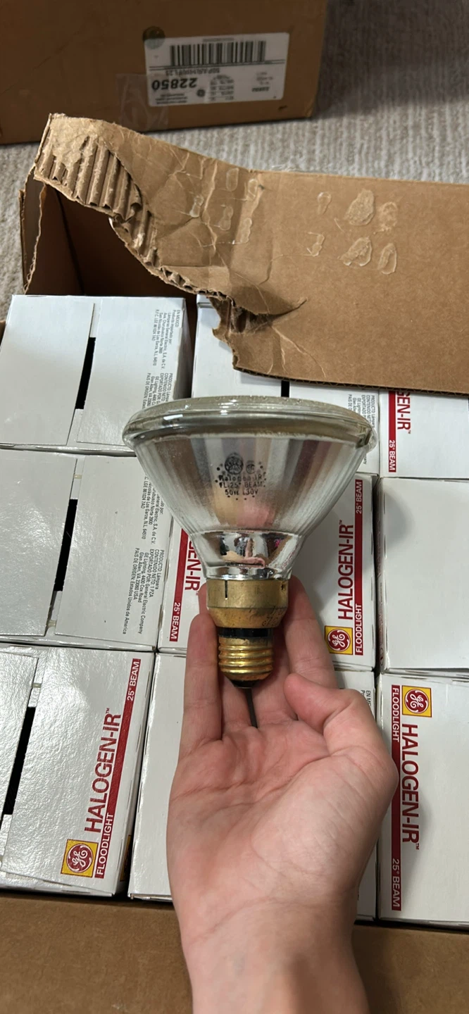 GE Halogen-IR Floodlight PAR38 - photo 3