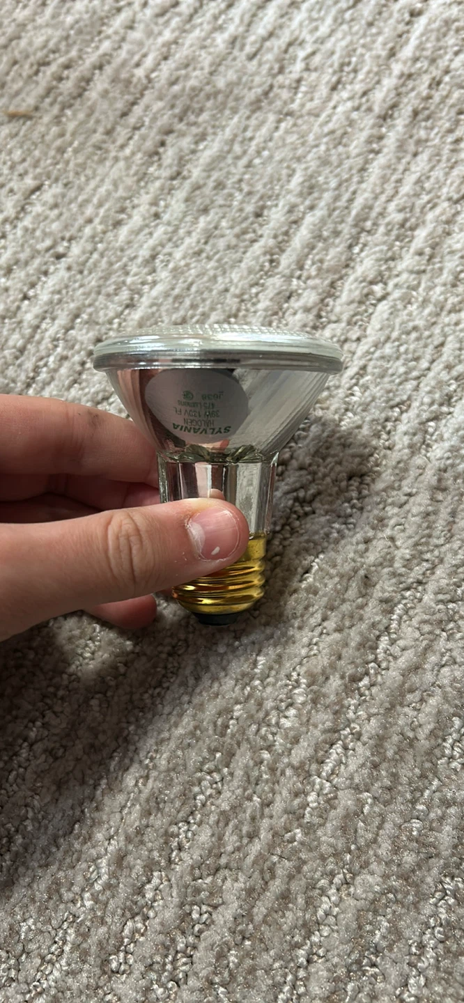 Sylvania Halogen Flood PAR20 Light Bulb - photo 2