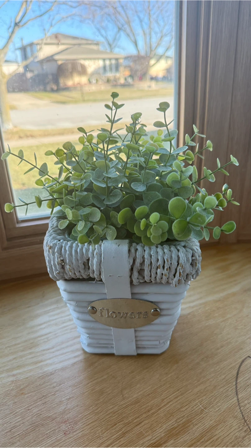 Artificial Plant in Wicker Basket