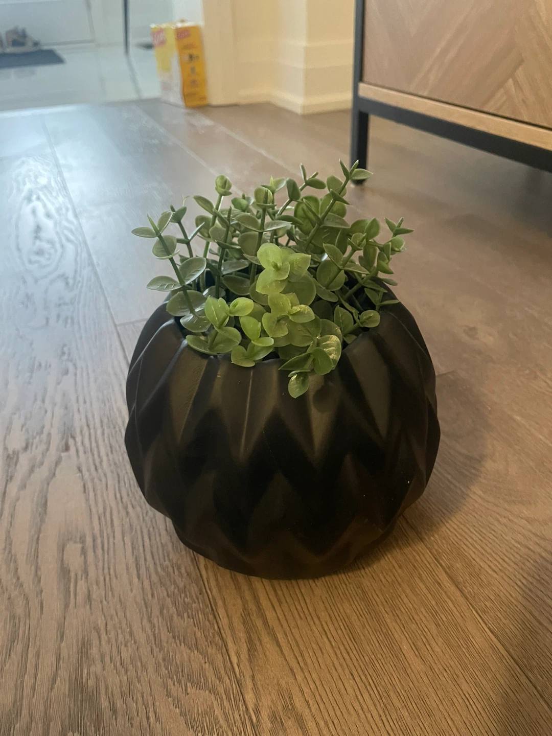 Assorted Decorative Flower Pots