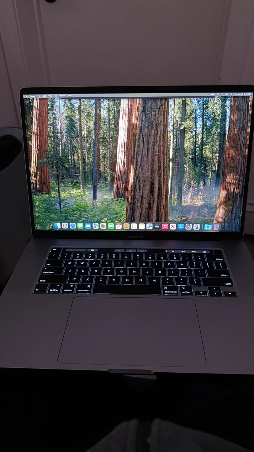 Apple MacBook Pro - i7, 32GB RAM