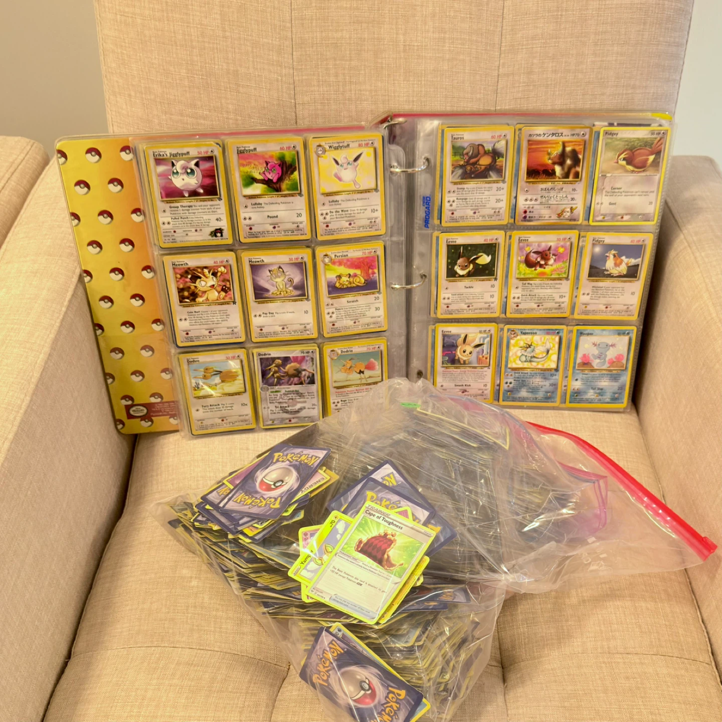 Pokémon Card Binder & Loose Cards