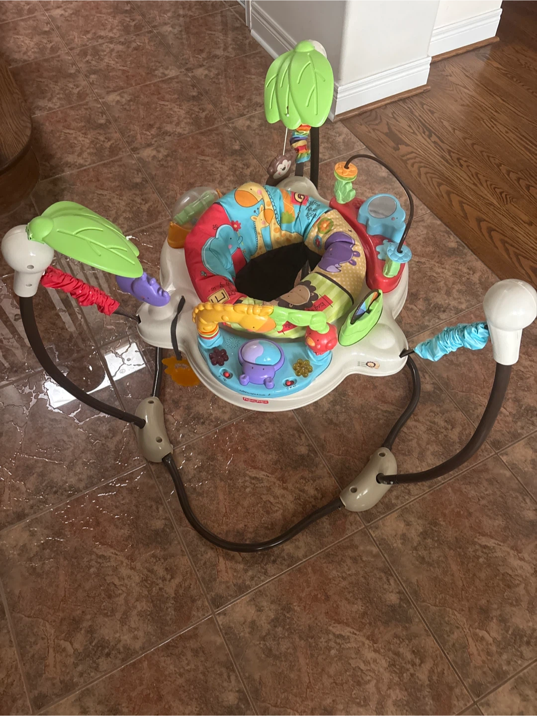 Fisher-Price Jumperoo