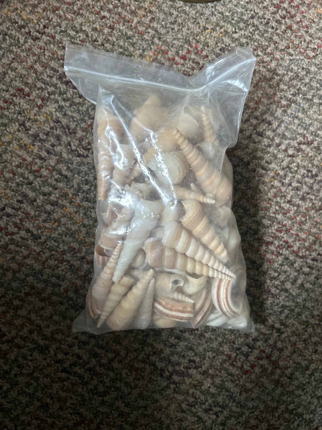 Bag of Seashells