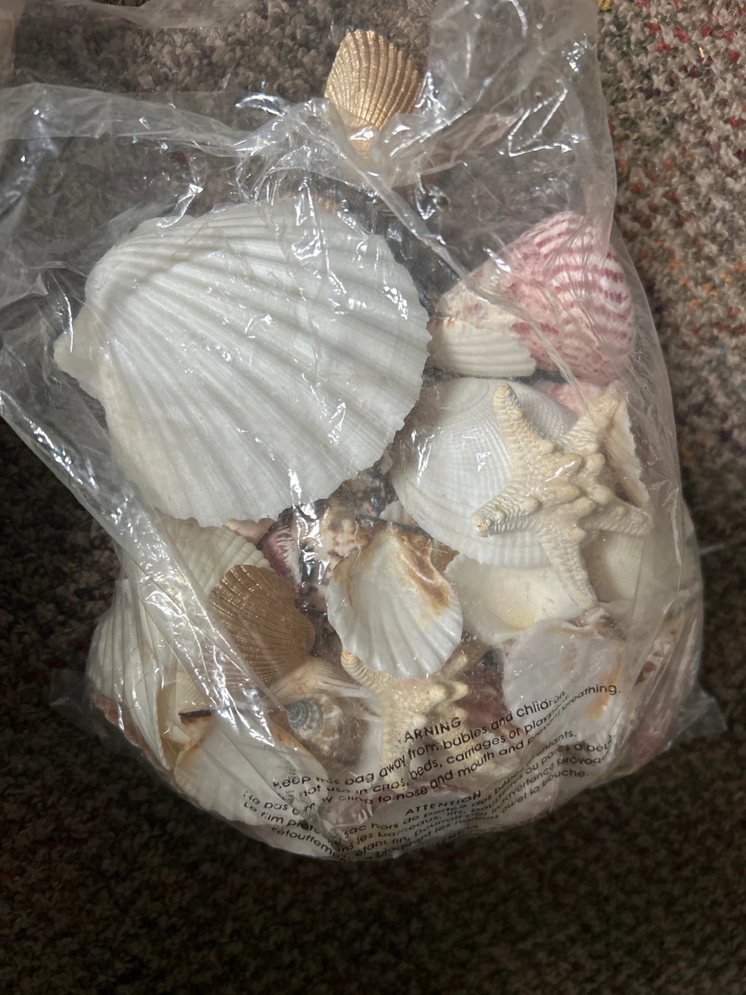Bag of Seashells