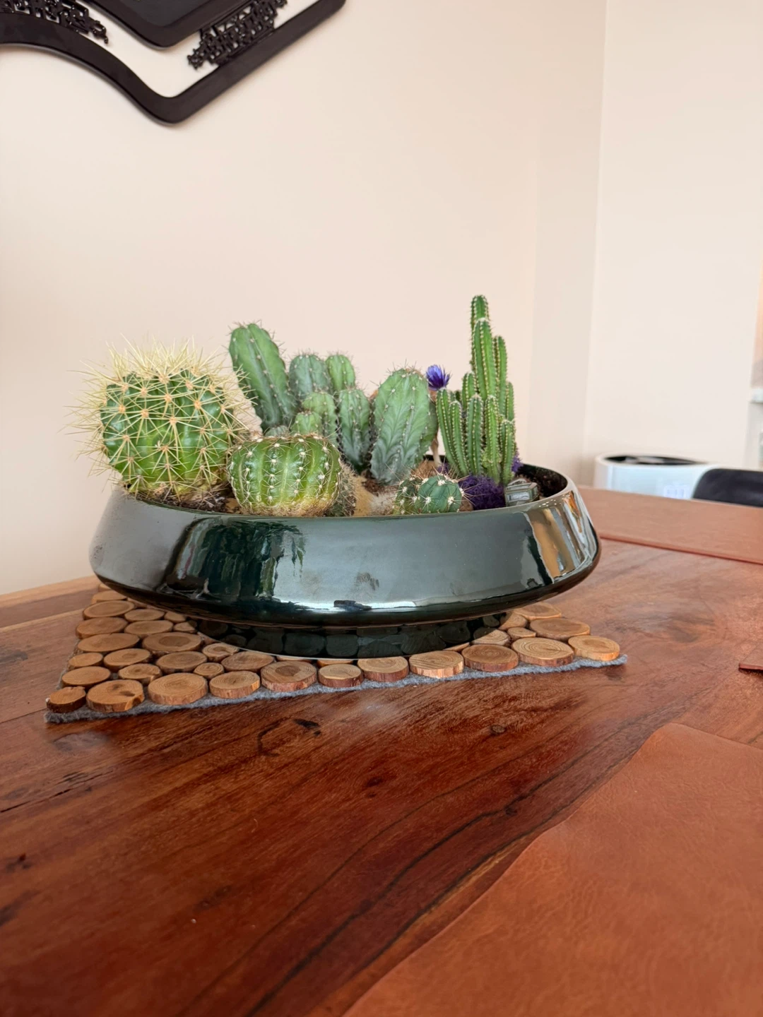 Cactus Arrangement in Decorative Bowl🏆 - photo 3