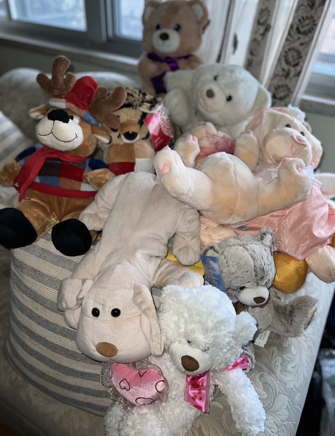 Assorted Plush Toys