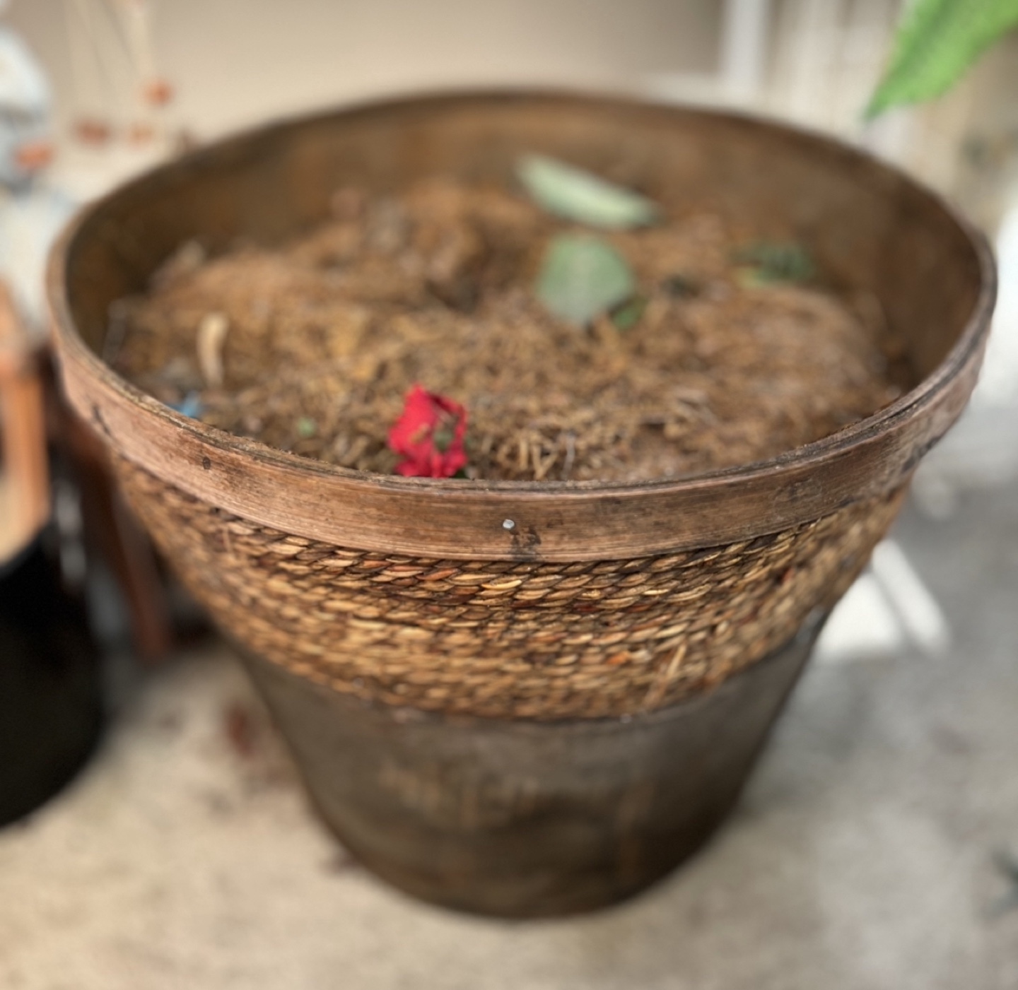 Woven Basket Planter - photo 3