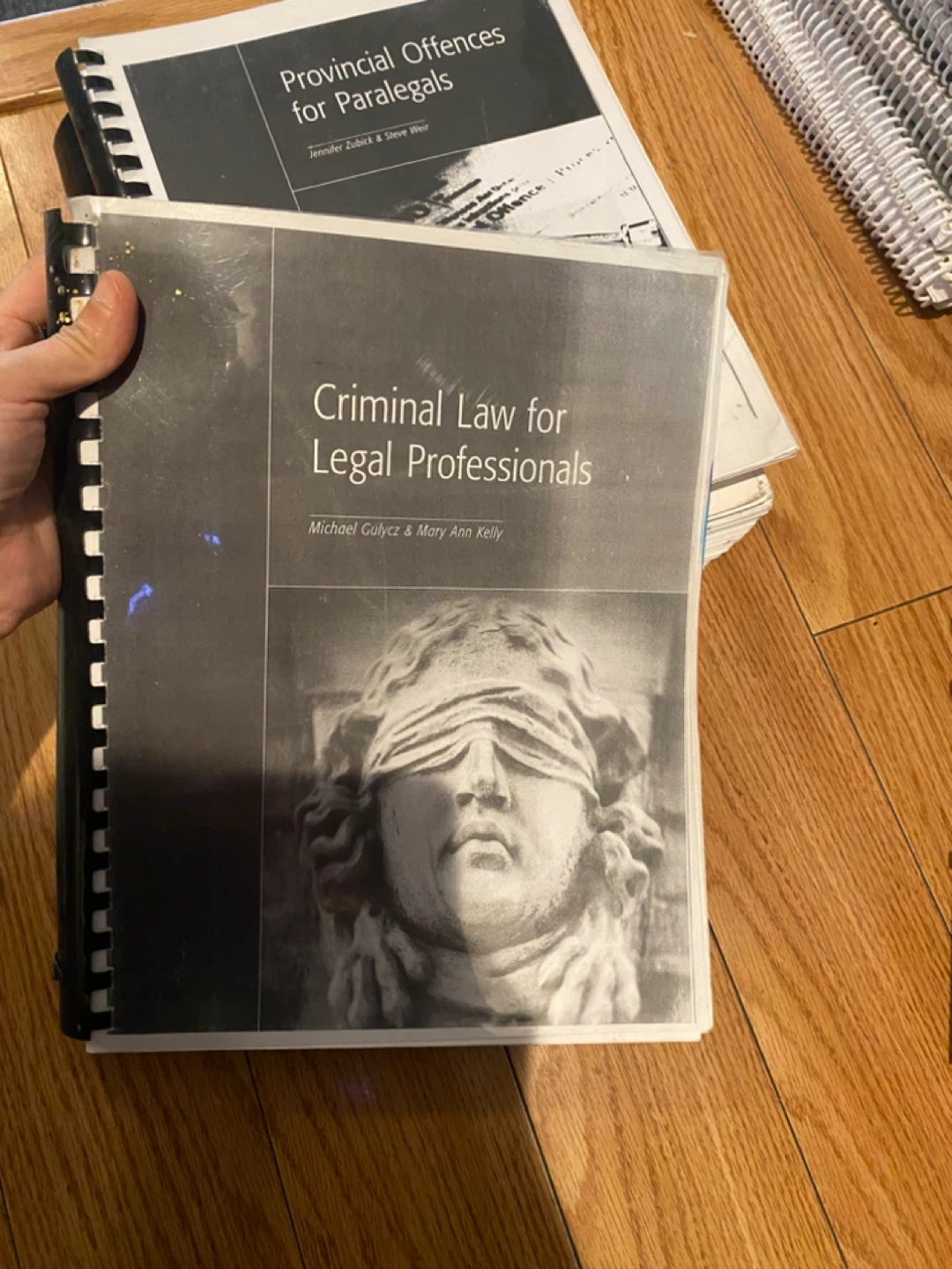Law Books for Legal Professionals - photo 3
