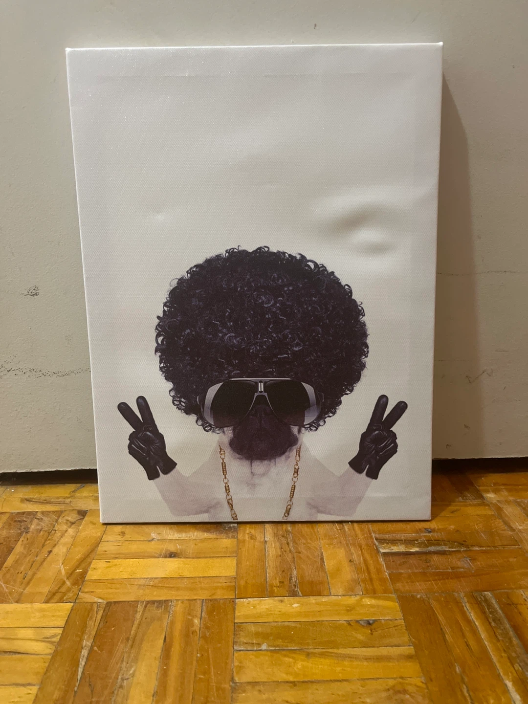 Dog with Afro Canvas Art