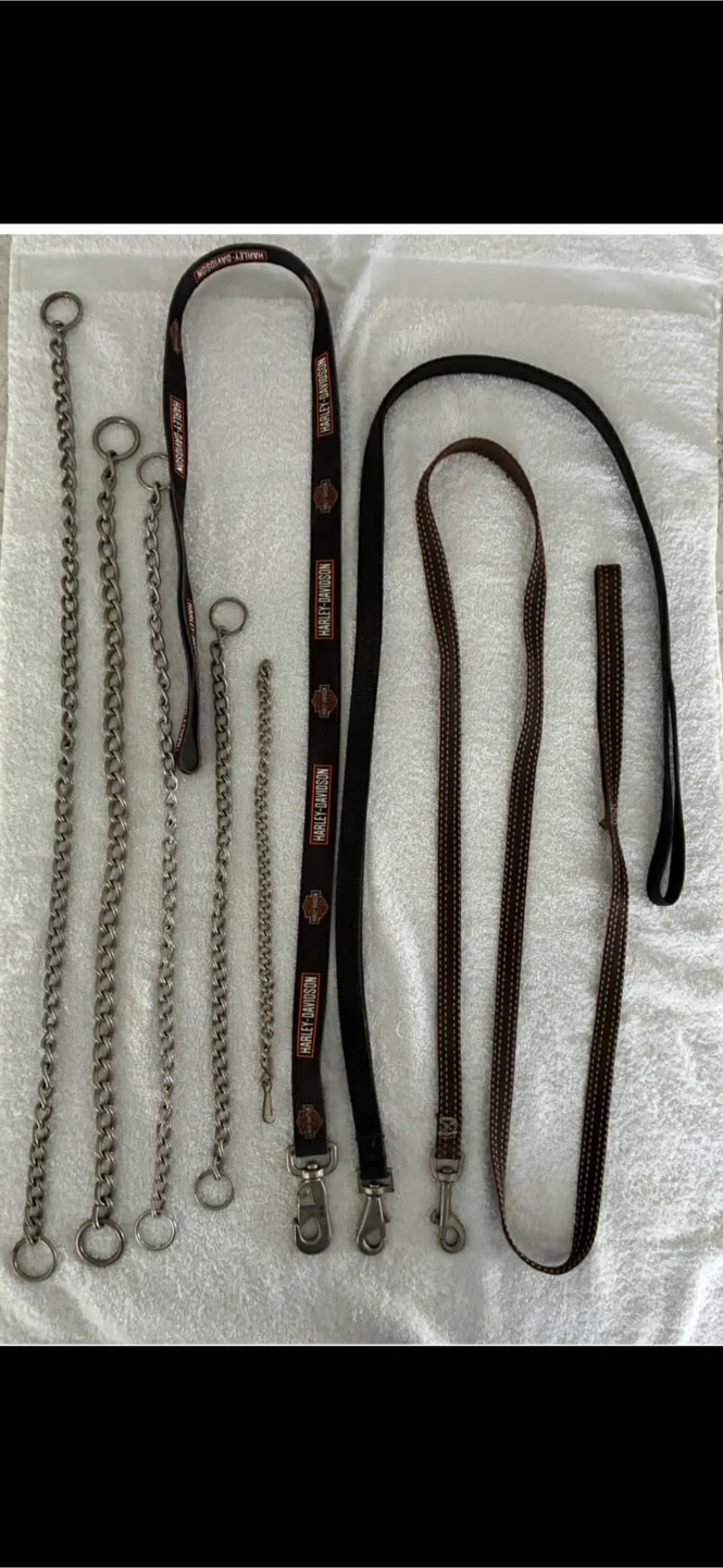Dog Leashes: Harley-Davidson & Chain