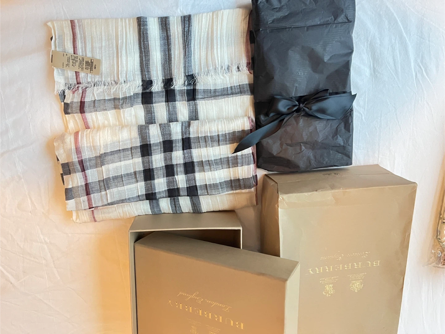 Burberry London England Scarf - New with Box - photo 4