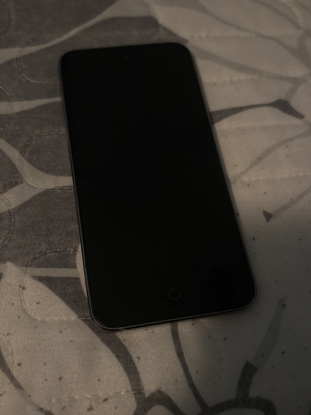 iPod Touch 5th generation 🥕