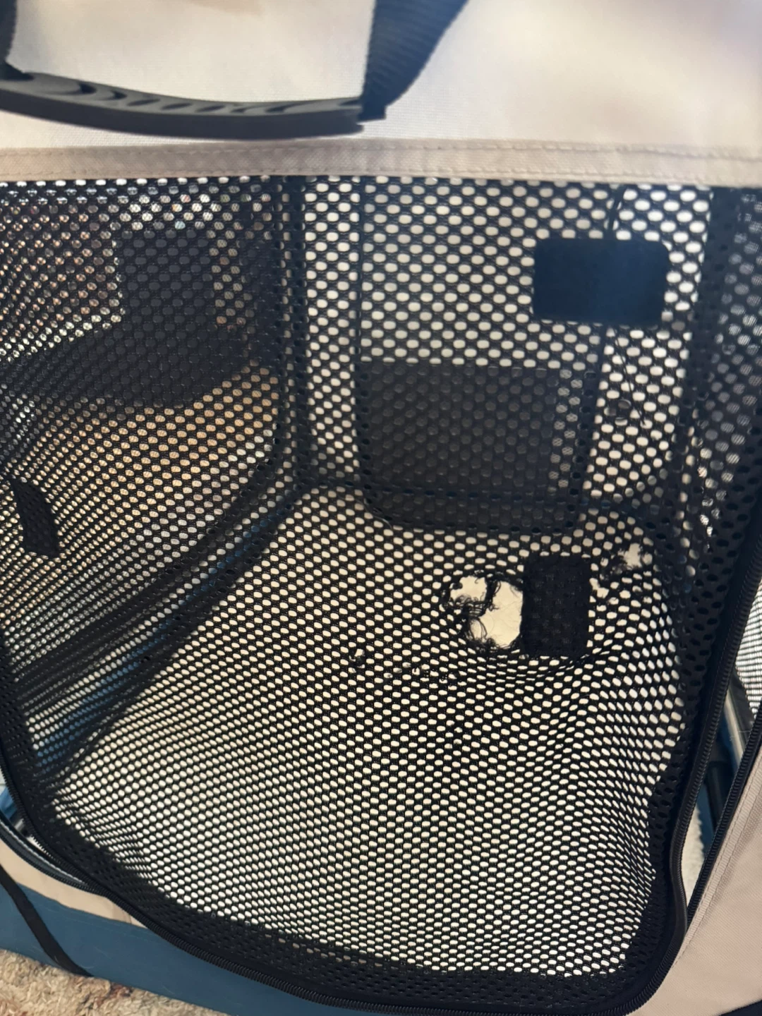 Collapsible/foldable Soft Dog Crate - photo 4