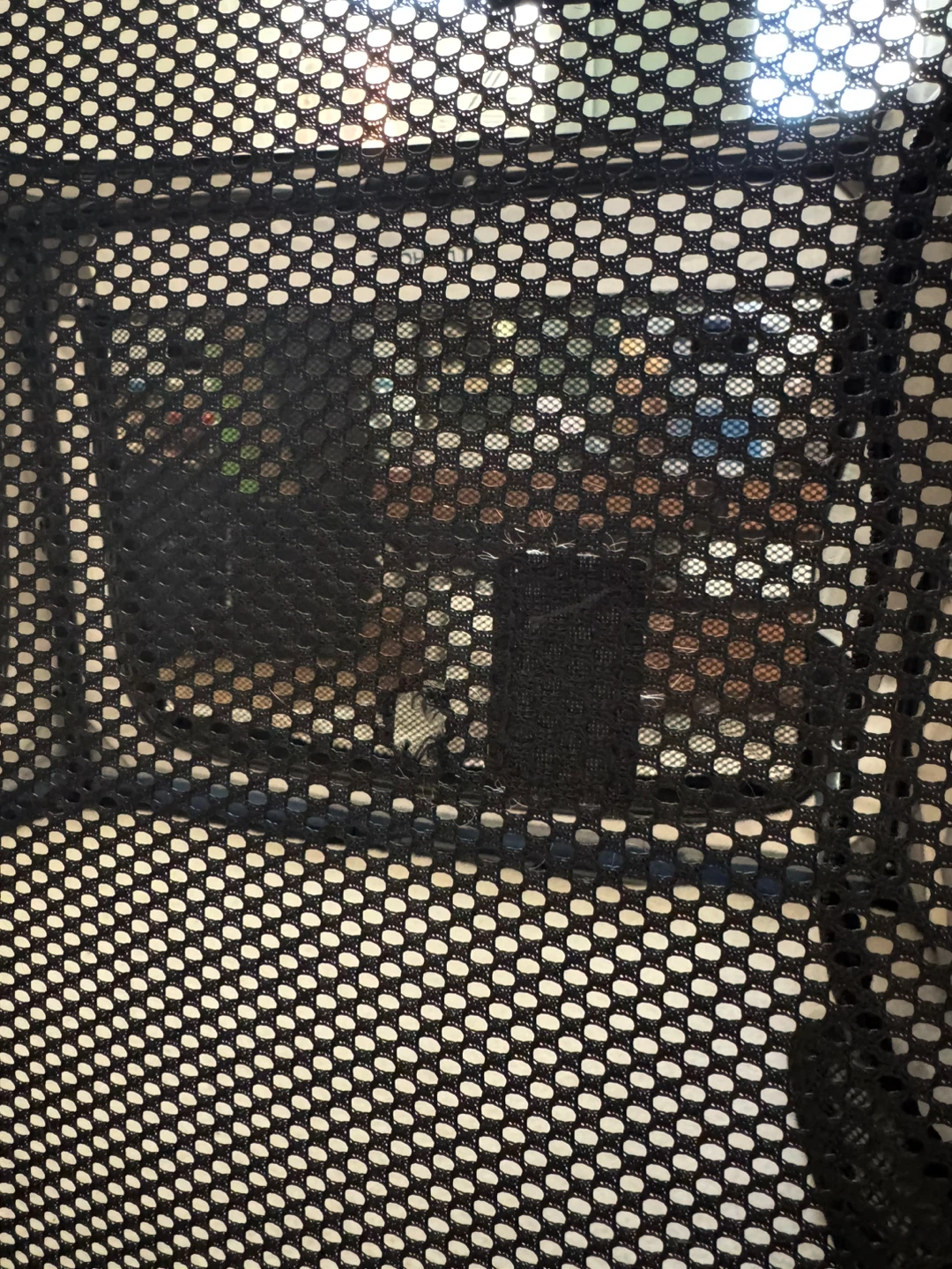 Collapsible/foldable Soft Dog Crate - photo 3