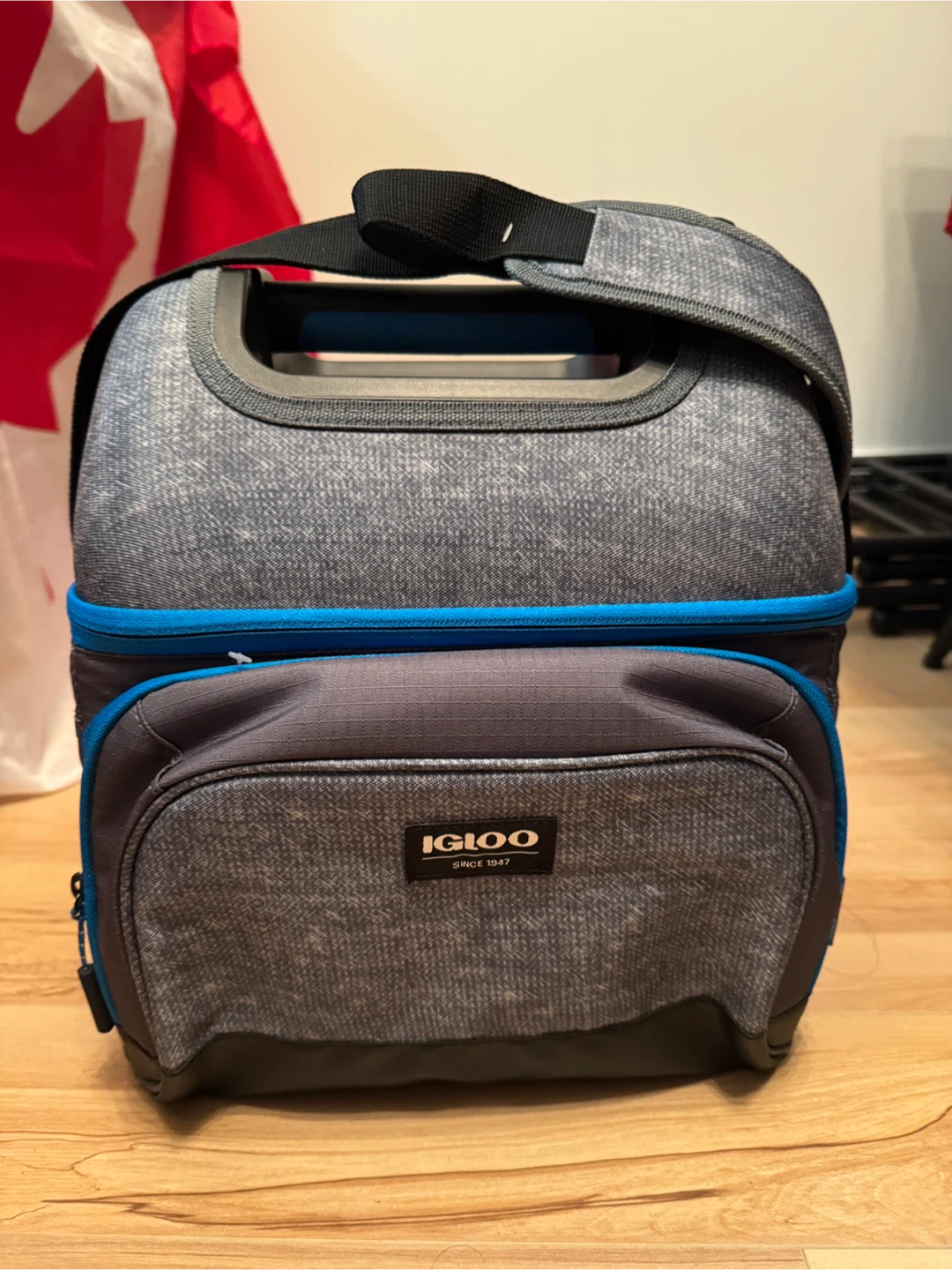 NEW Igloo Cooler Bag