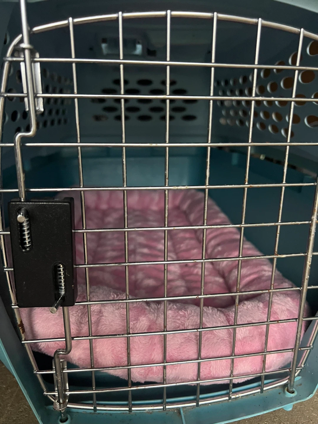 Petmate Pet Carrier with Bed - photo 3