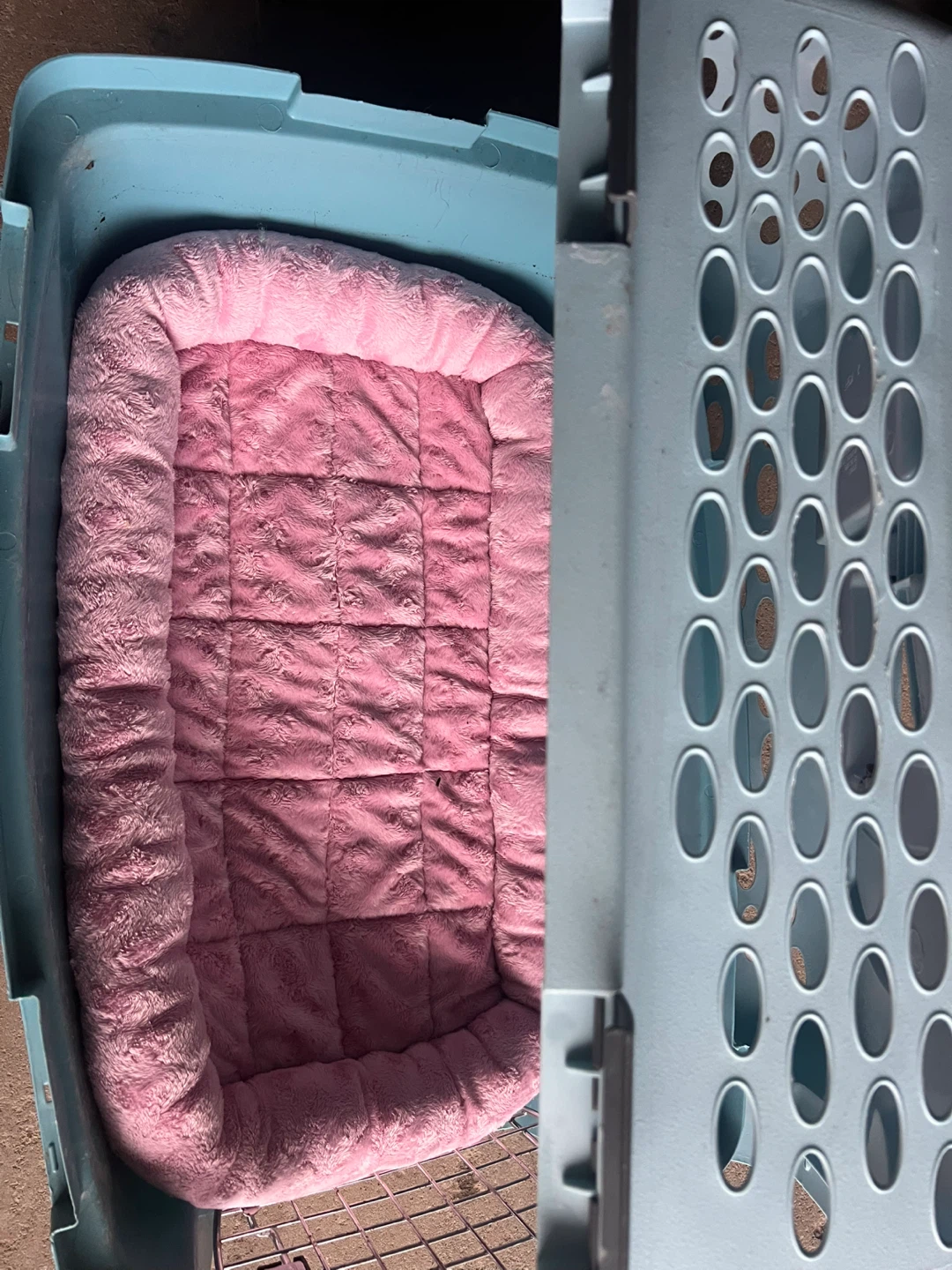 Petmate Pet Carrier with Bed