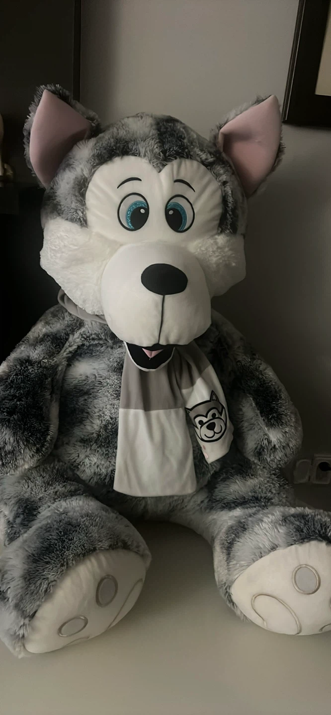 Large Husky
