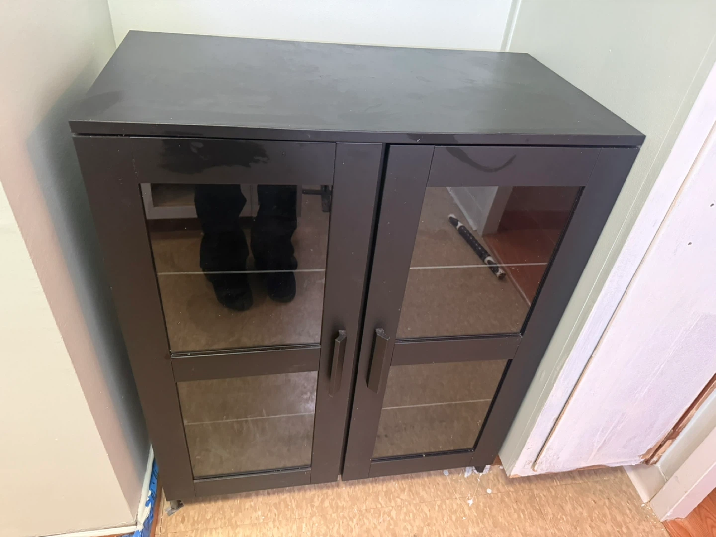 Black Cabinet with Glass Doors