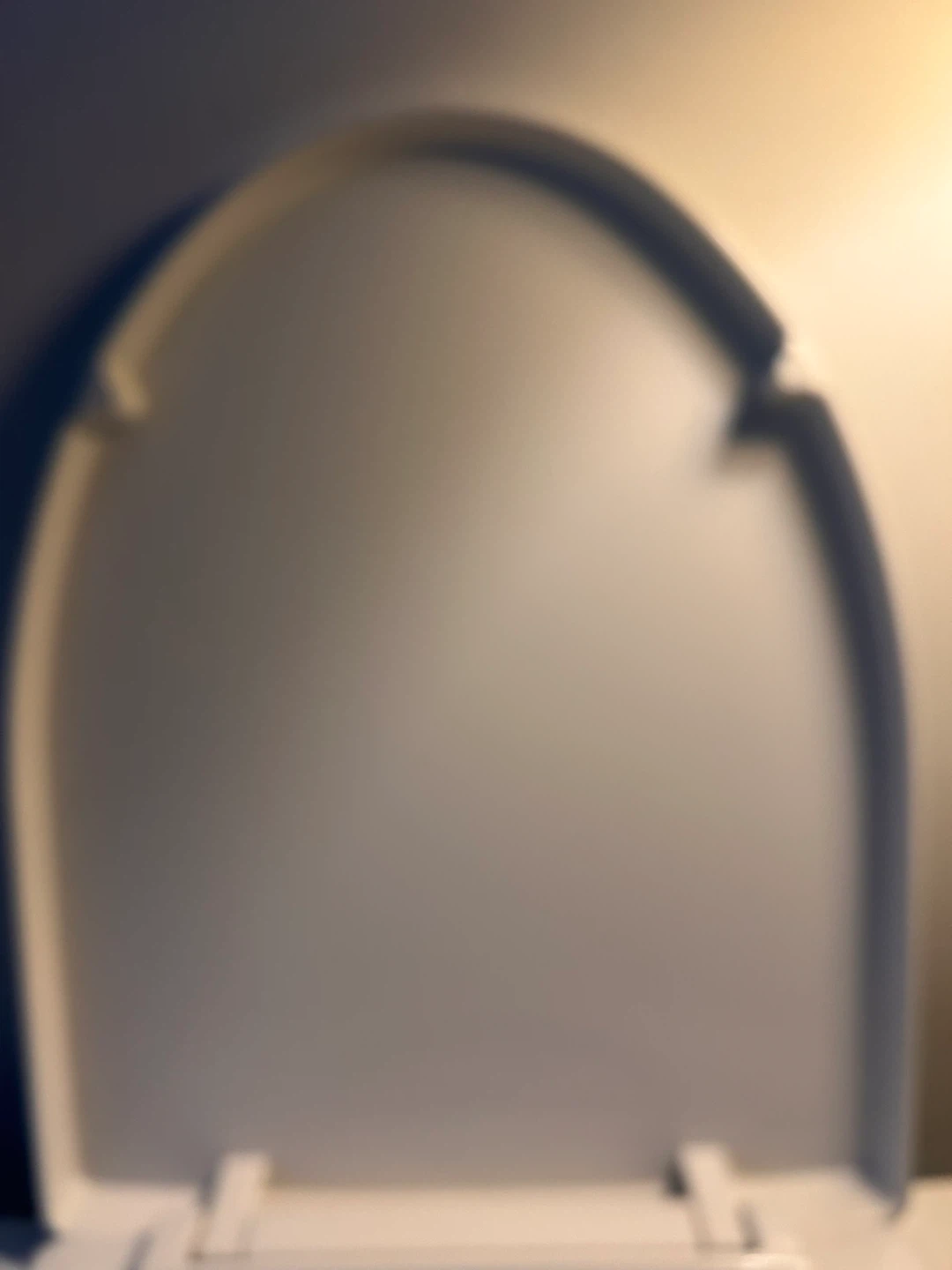 TOTO White Toilet Seat - photo 3