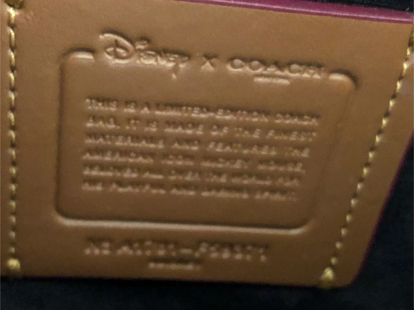 Coach Disney X Limited Edition Black Handbag - photo 5