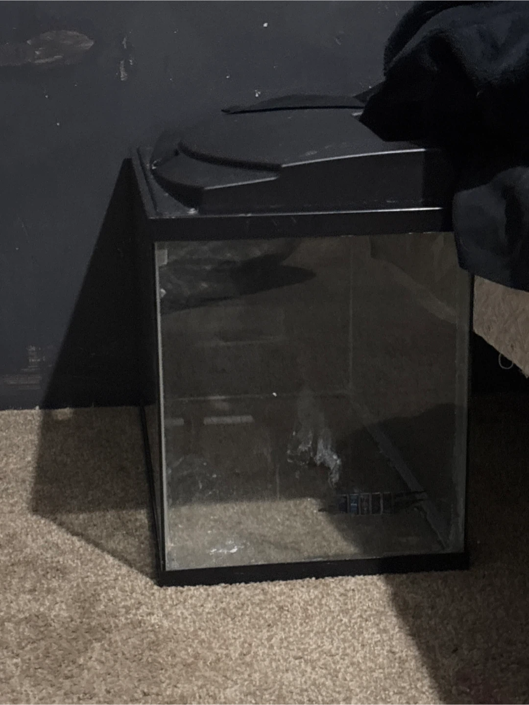 Small Black Aquarium