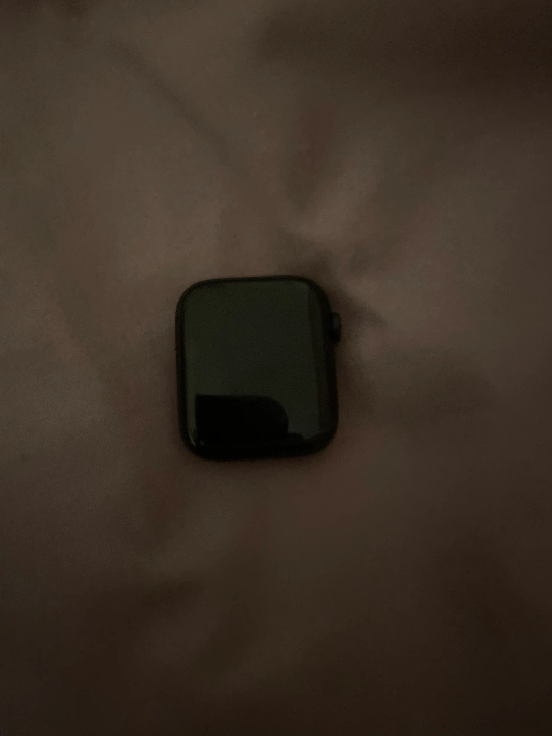 Apple Watch SE (read disc) - photo 3