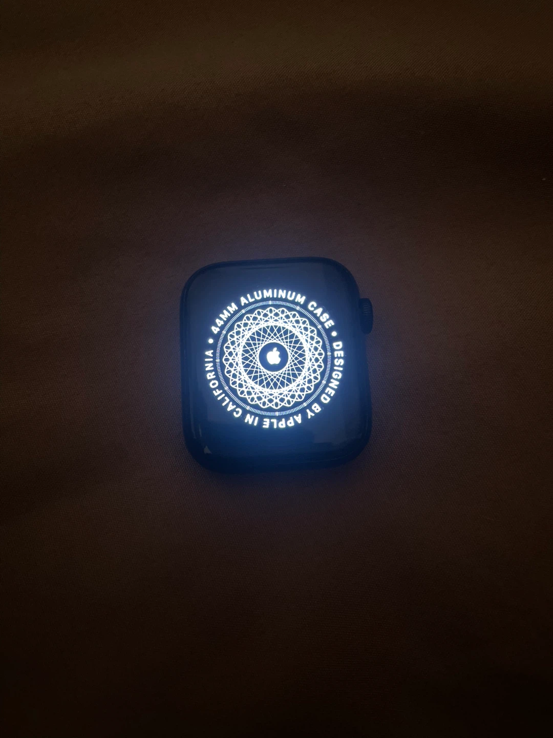 Apple Watch SE (read disc)