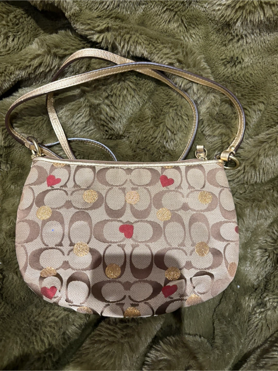 Coach Crossbody Bag