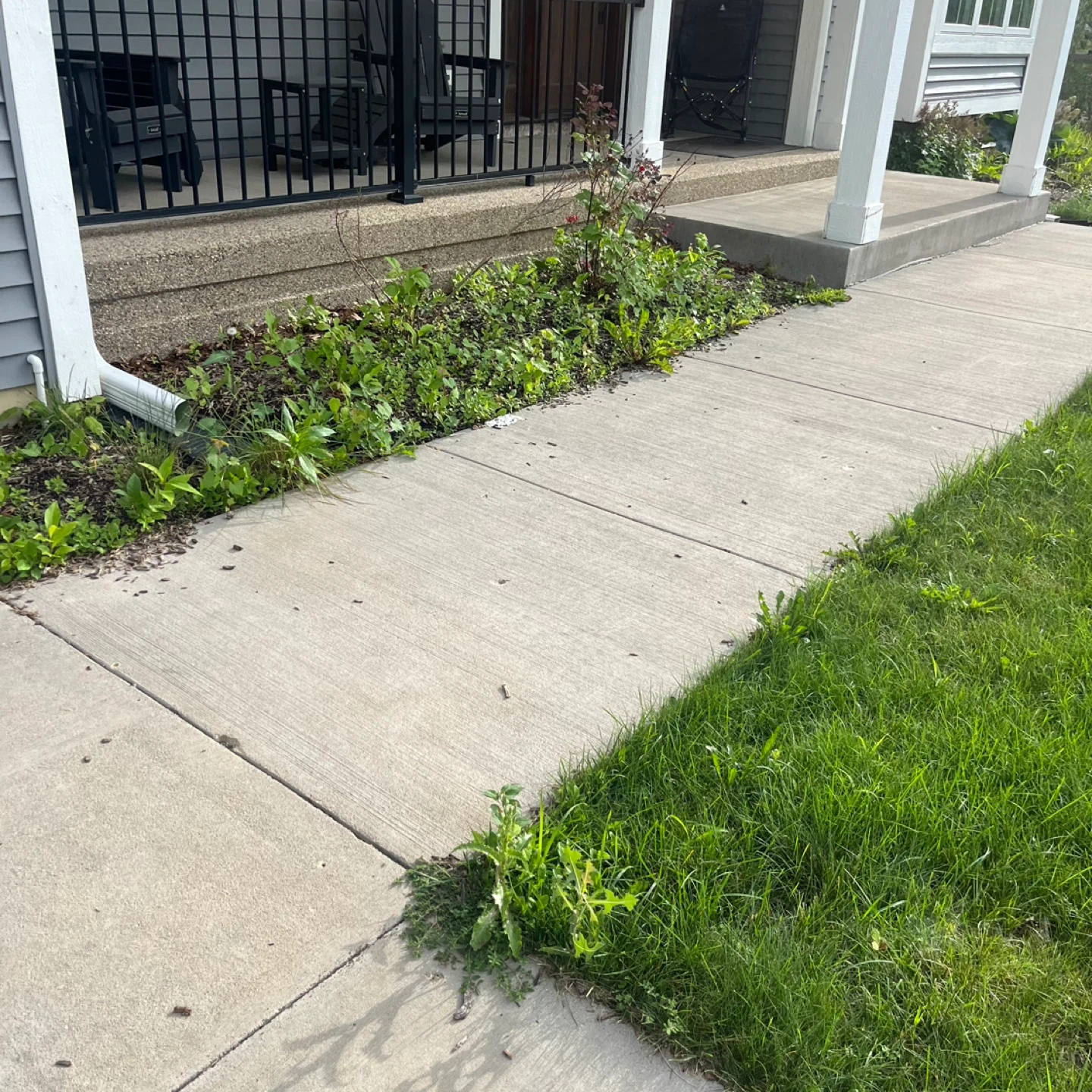 Spring cleaning - photo 2