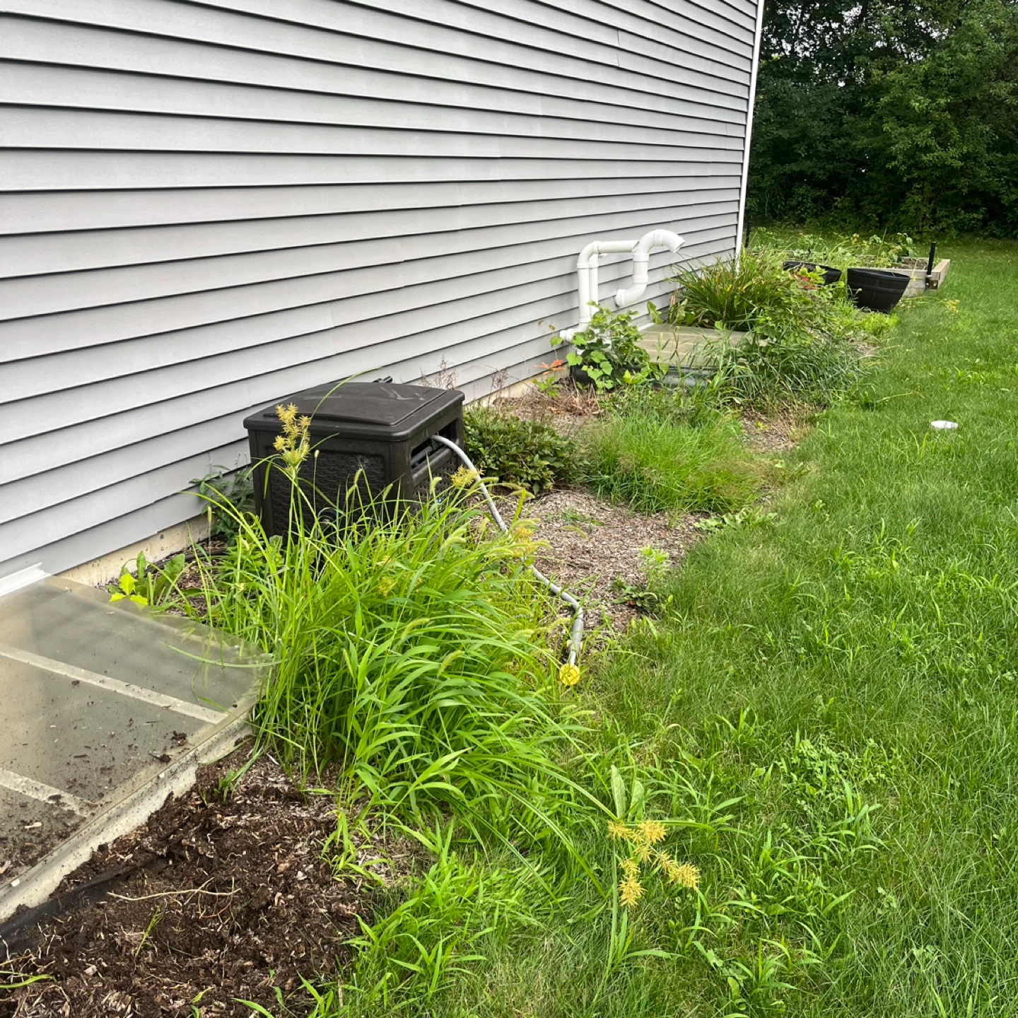 Spring cleaning - photo 4