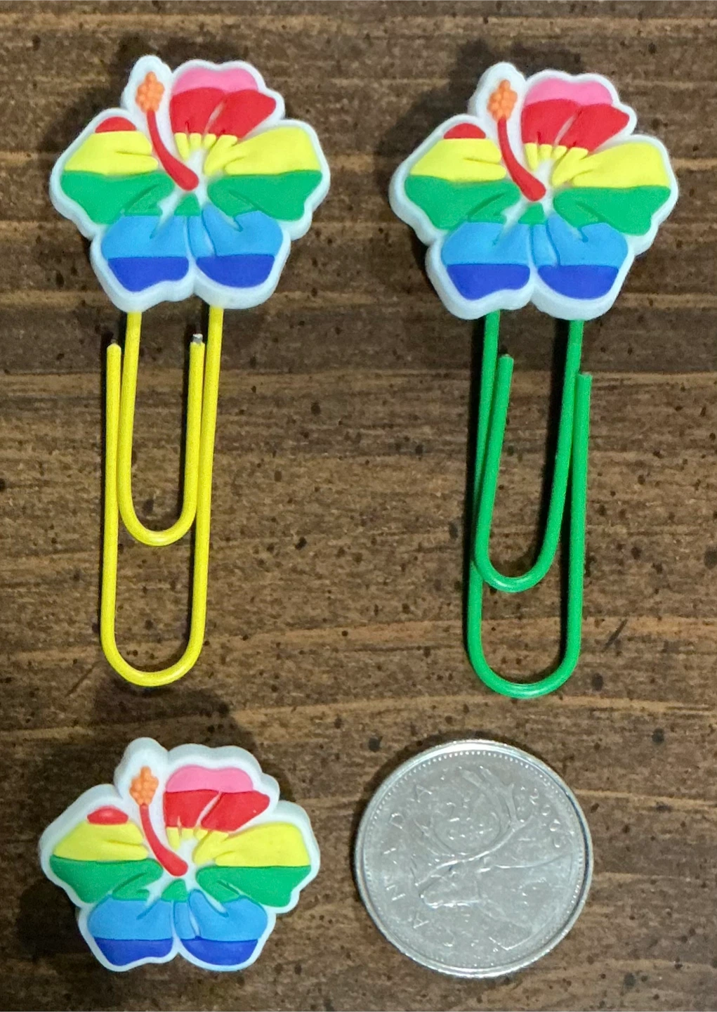 Rainbow Hibiscus Paper Clips and Pin