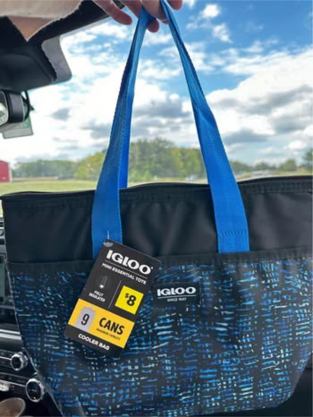 Igloo Mini Essential Tote 9-Can Cooler Bag