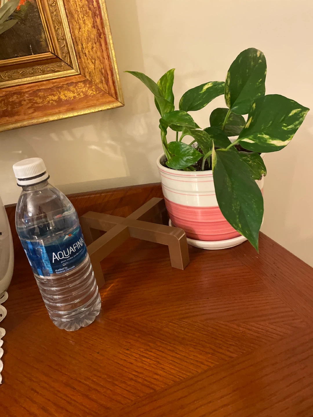 Pothos Plant in Striped Pink Pot and stand - photo 3