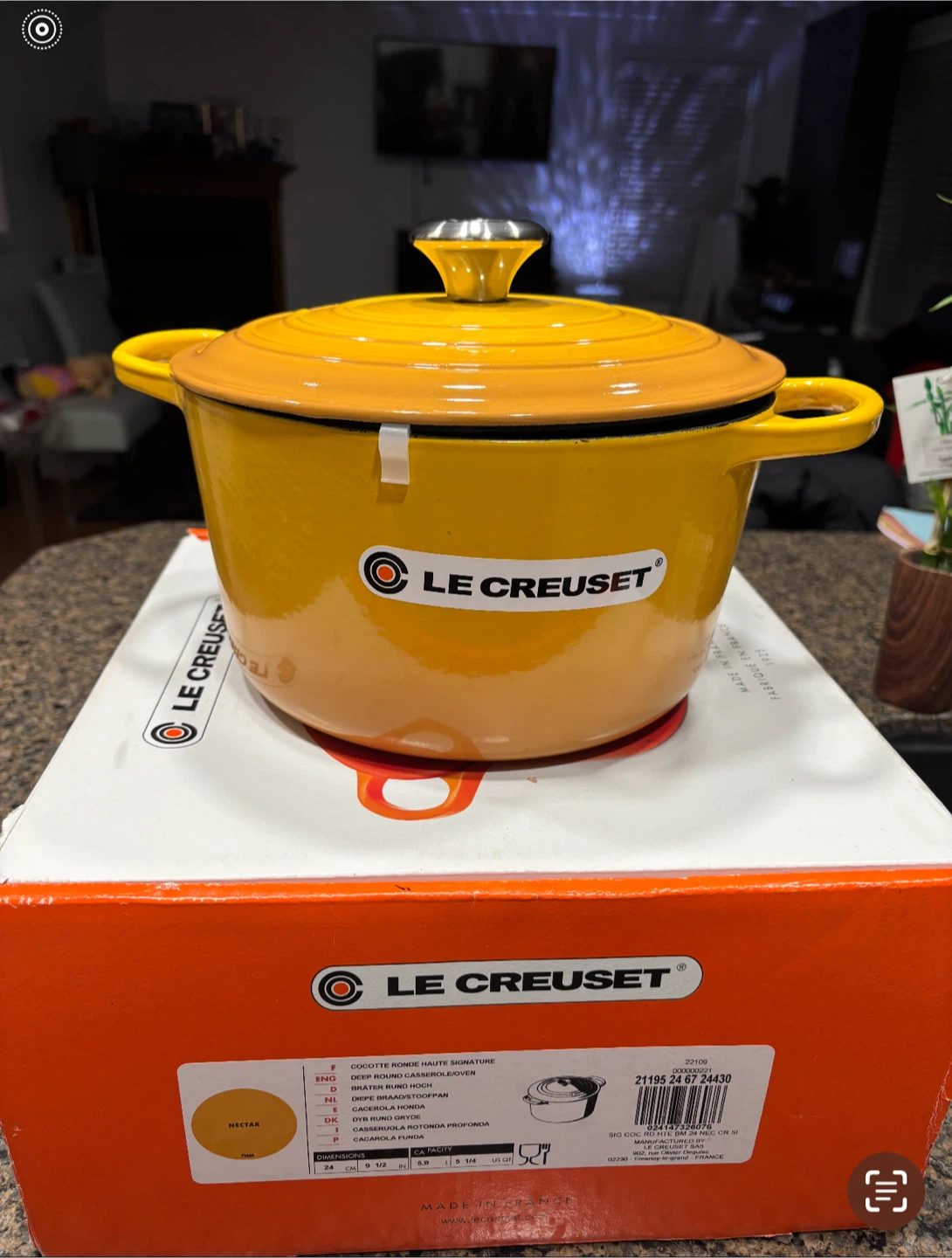 Le Creuset Nectar Yellow Dutch Oven - 9.5 inch