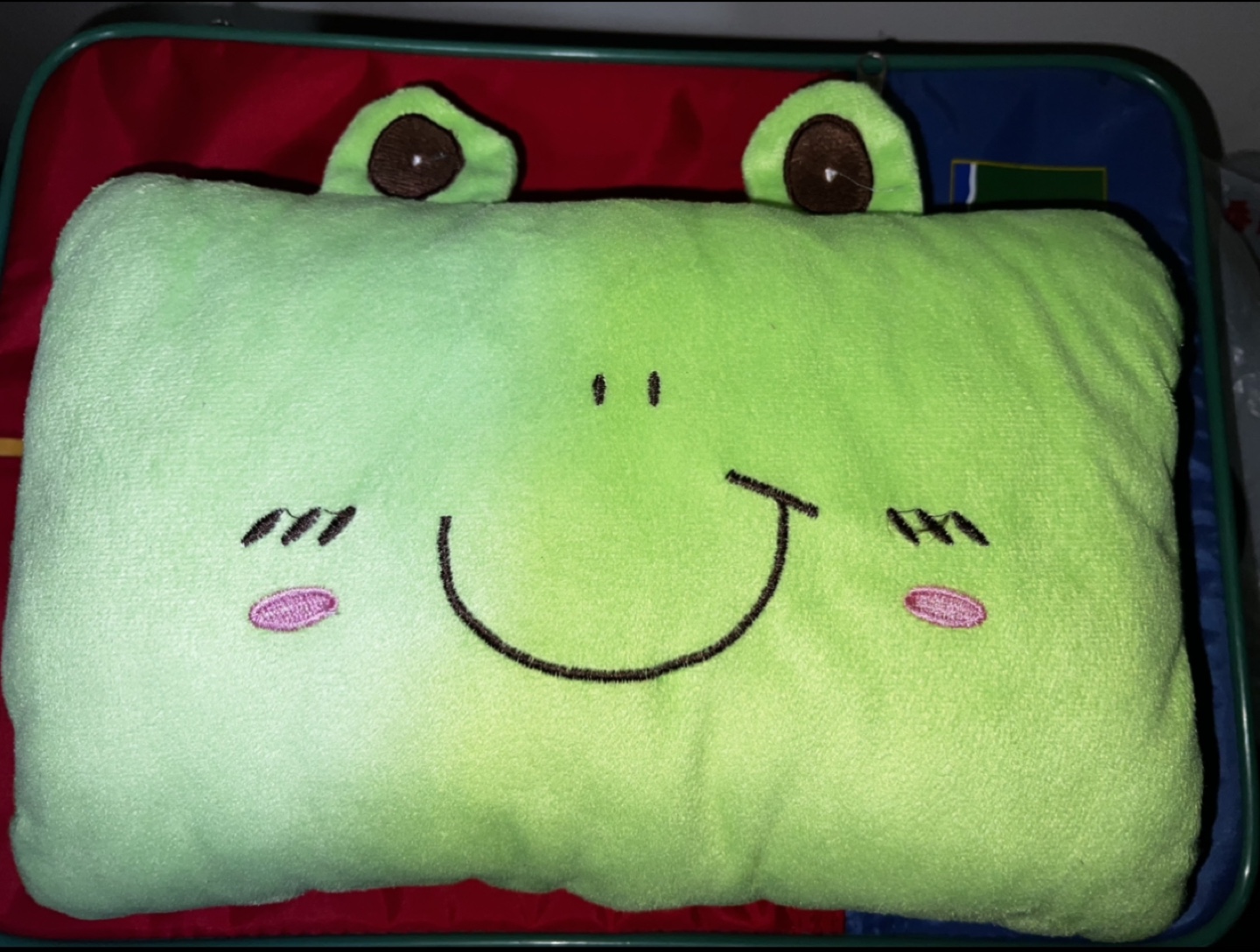Green Frog Pillow Hand Warmer