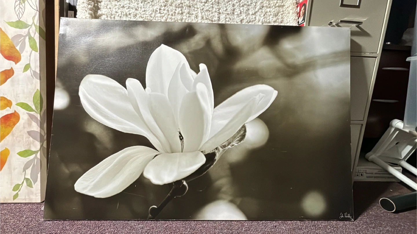 Assorted Floral Wall Art - photo 3