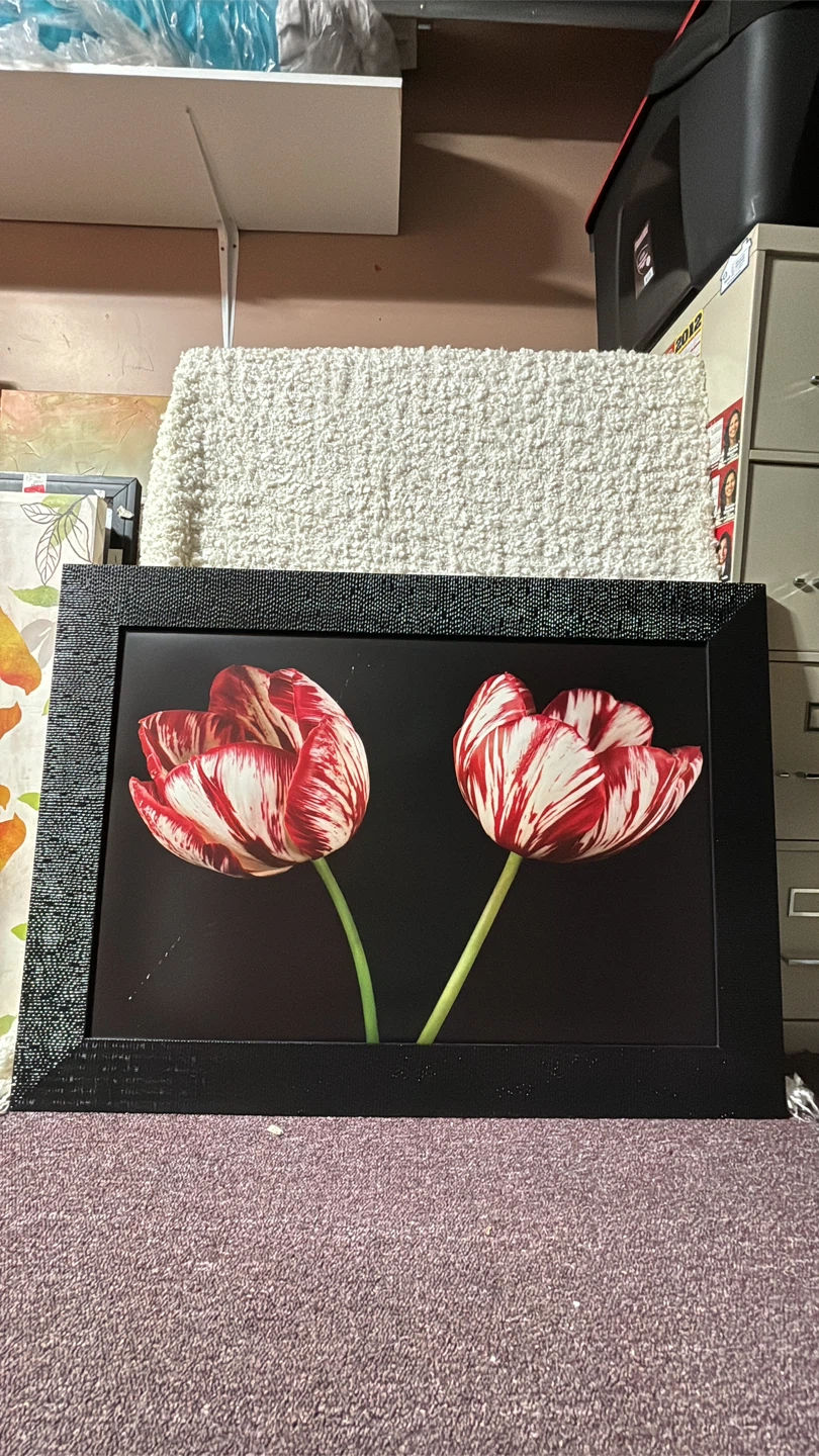 Assorted Framed Wall Art