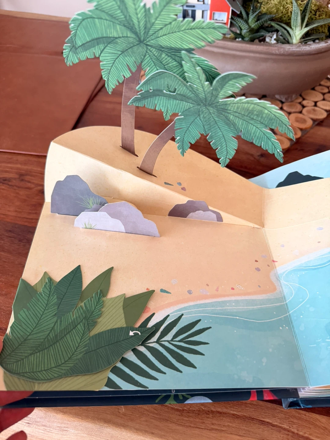 Shells: A Pop-Up Book of Wonder🏆 - photo 2