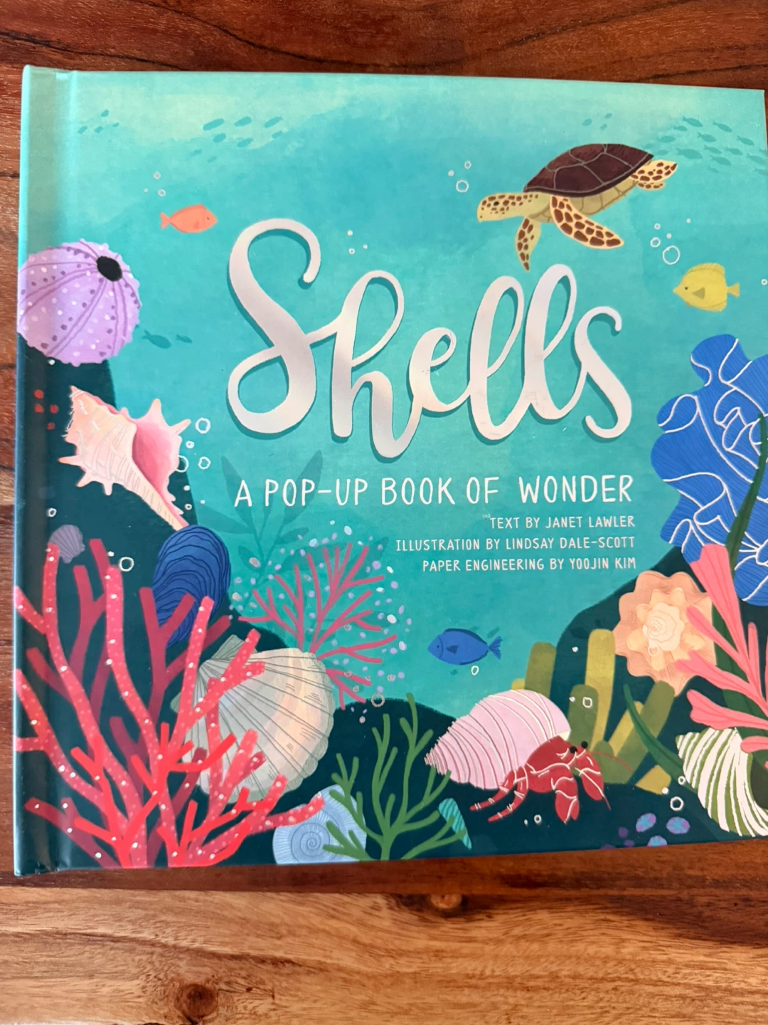 Shells: A Pop-Up Book of Wonder🏆