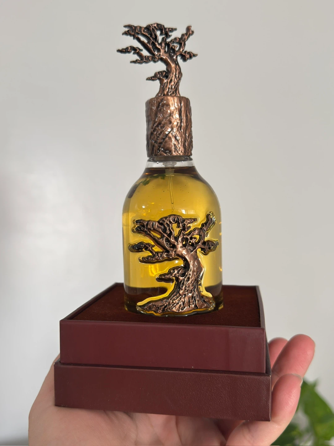 Lattafa Eternal Oud Perfume - photo 3