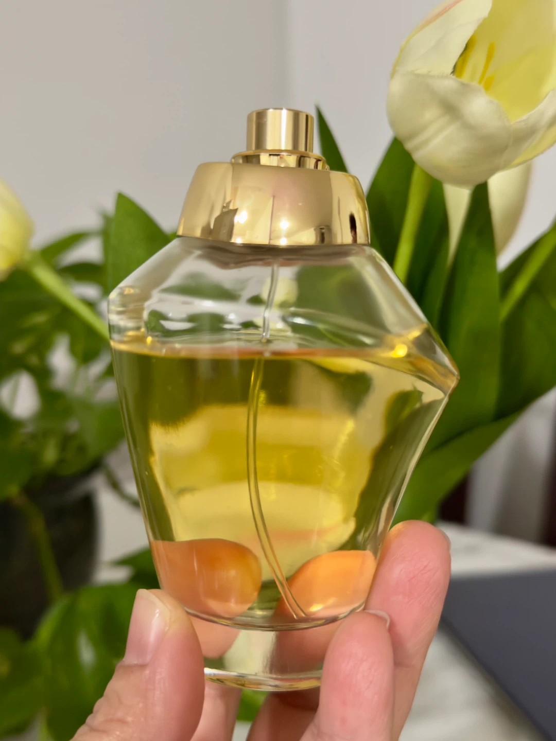Lady’s perfume - photo 3