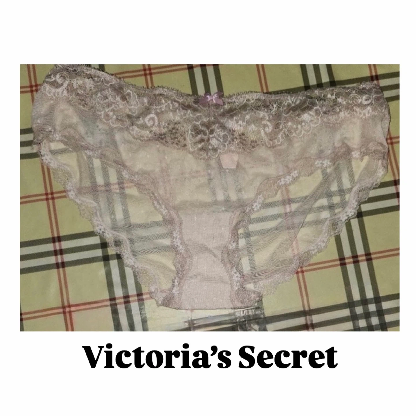 BNWT Victoria’s Secret Sheer & Lace Light Pale Pink Panties