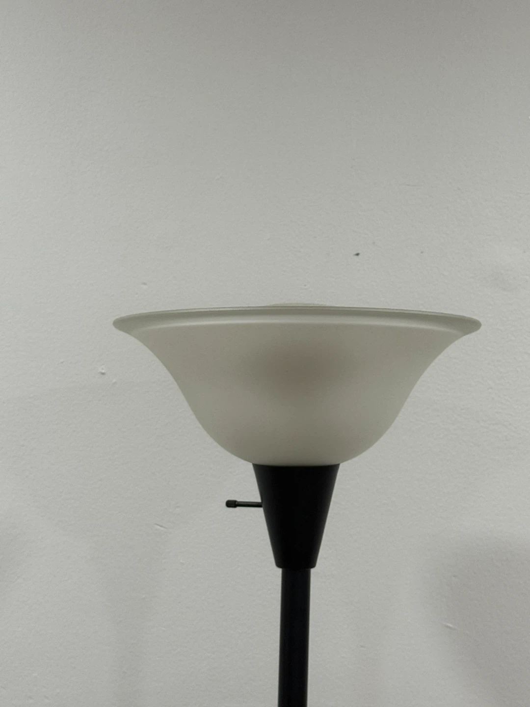 Black Floor Lamp with Frosted Glass Shade - photo 5