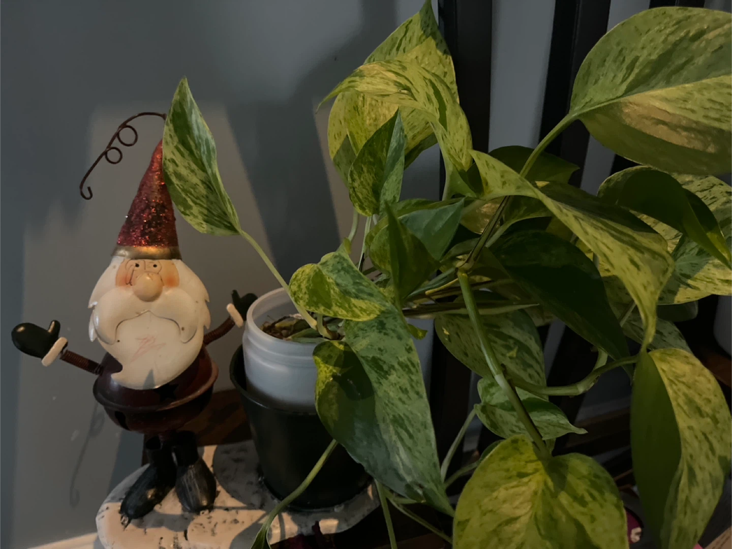 Plant and pot wth santa - photo 2