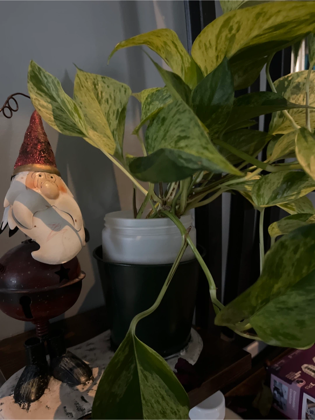 Plant and pot wth santa
