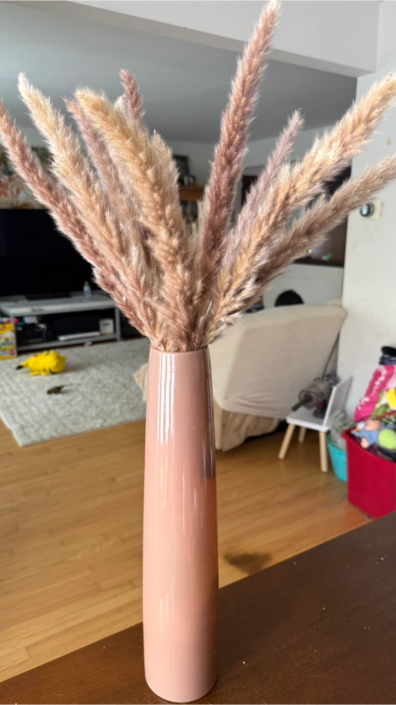 Vase with Pampas Grass