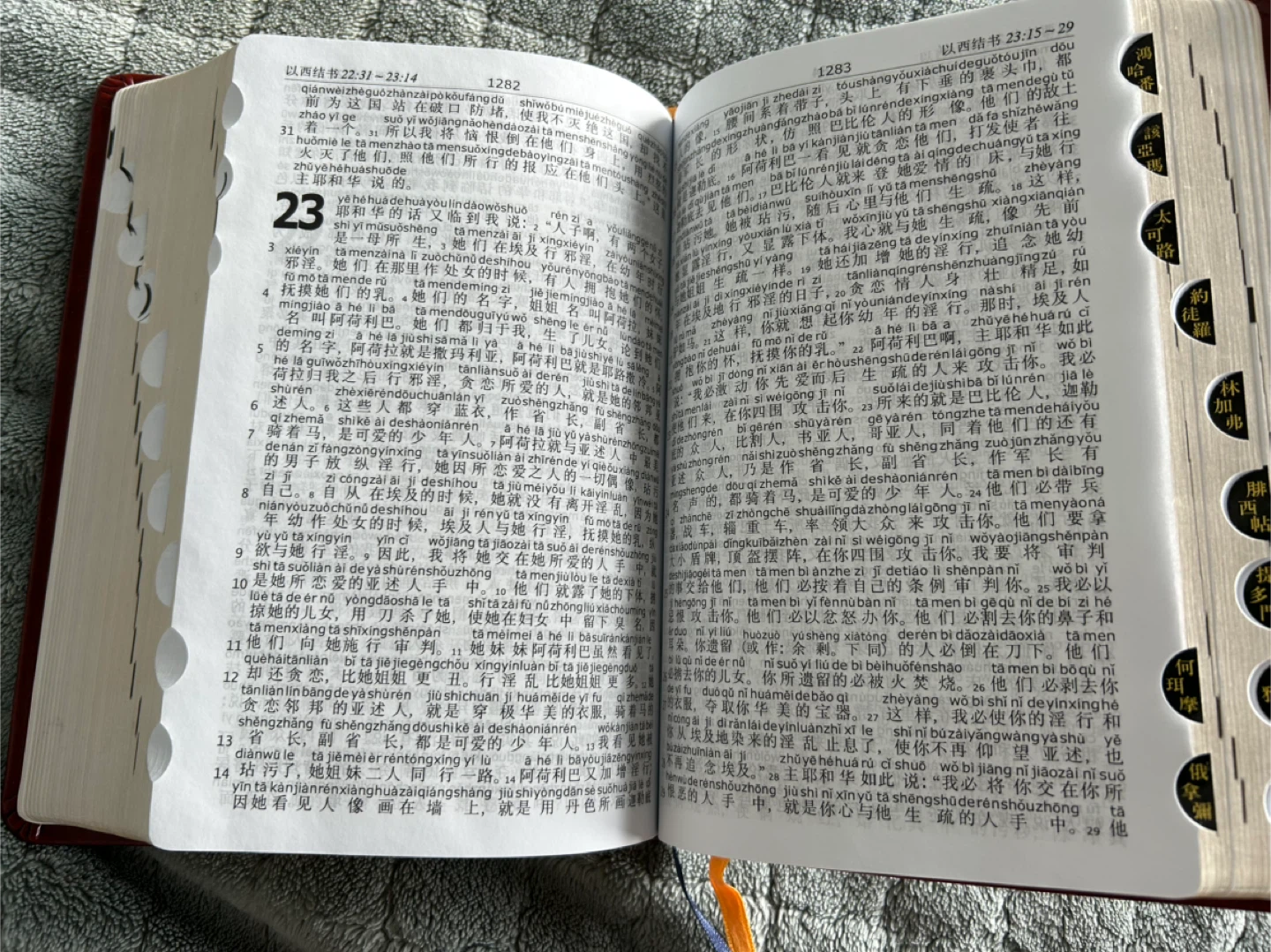 Chinese Pin Yin Bible 🥕 - photo 3