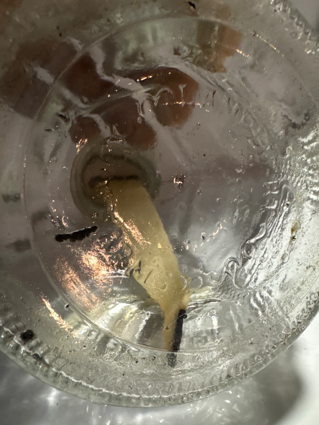 Vintage Clear Glass Oil Lamp - photo 3